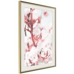 Arkiio Affisch Blooming Cotton [Poster] 20x30 Poster